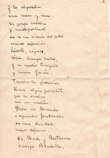 estampa y perfiles del patio 2